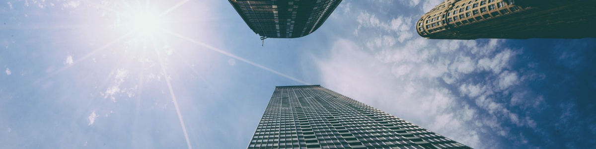 解析香港营业执照的一般页数及其重要性